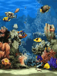 pic for Aquarium 3